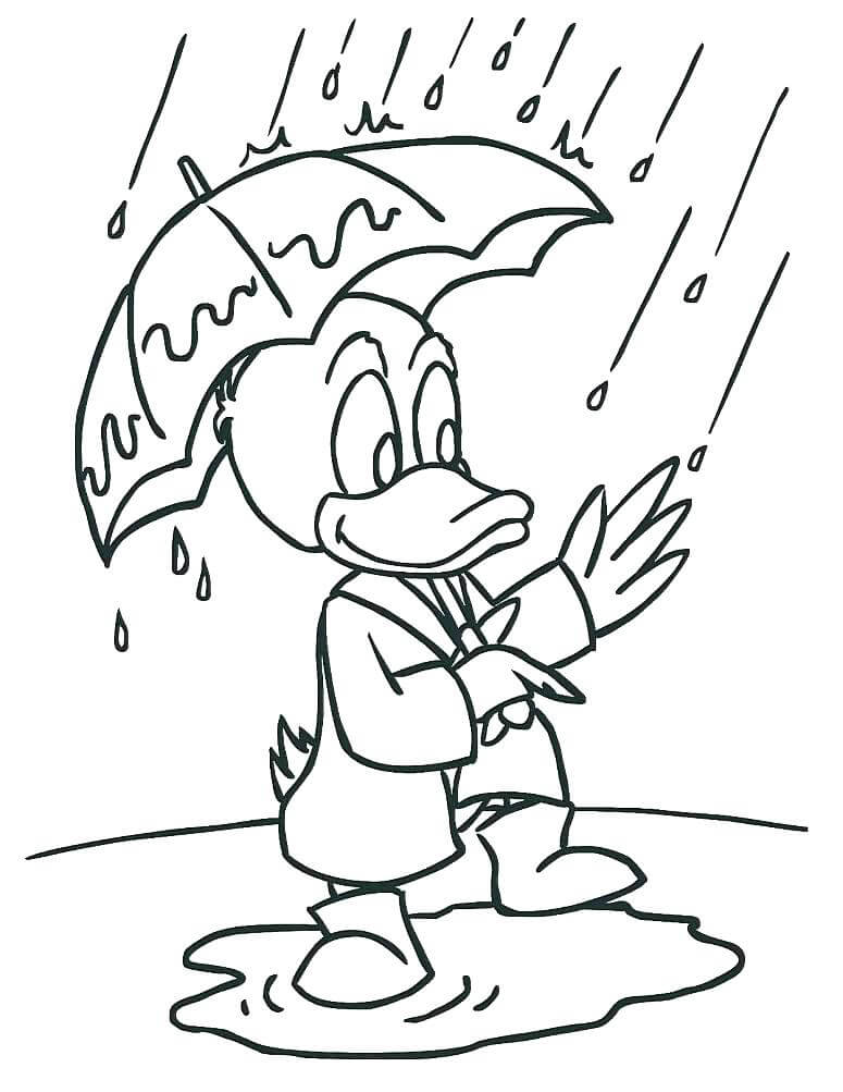 Duck Holder Paraply fargelegging