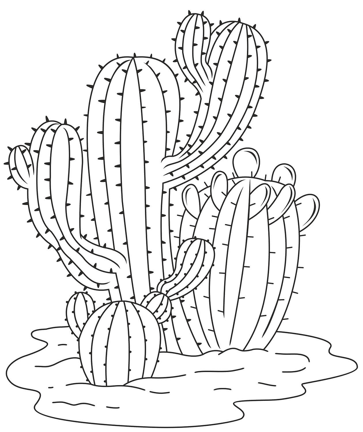 Enkel Kaktus fargeleggingsside