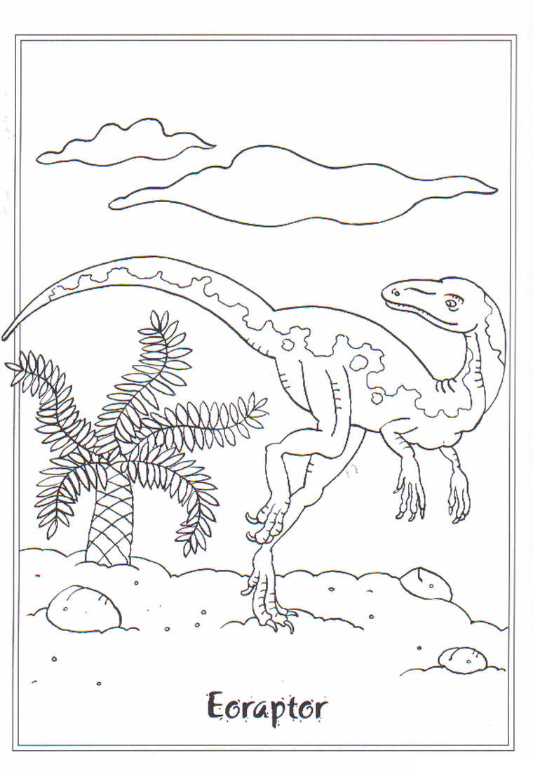 Eoraptor fargelegging