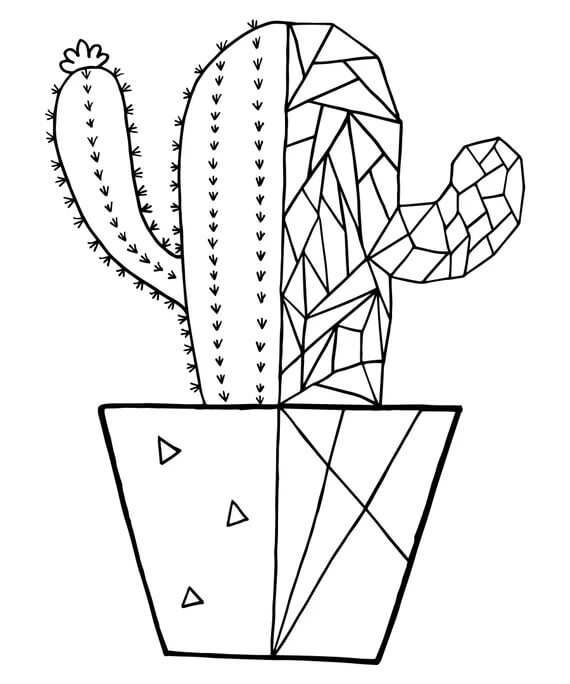 Fin Kaktus fargeleggingsside