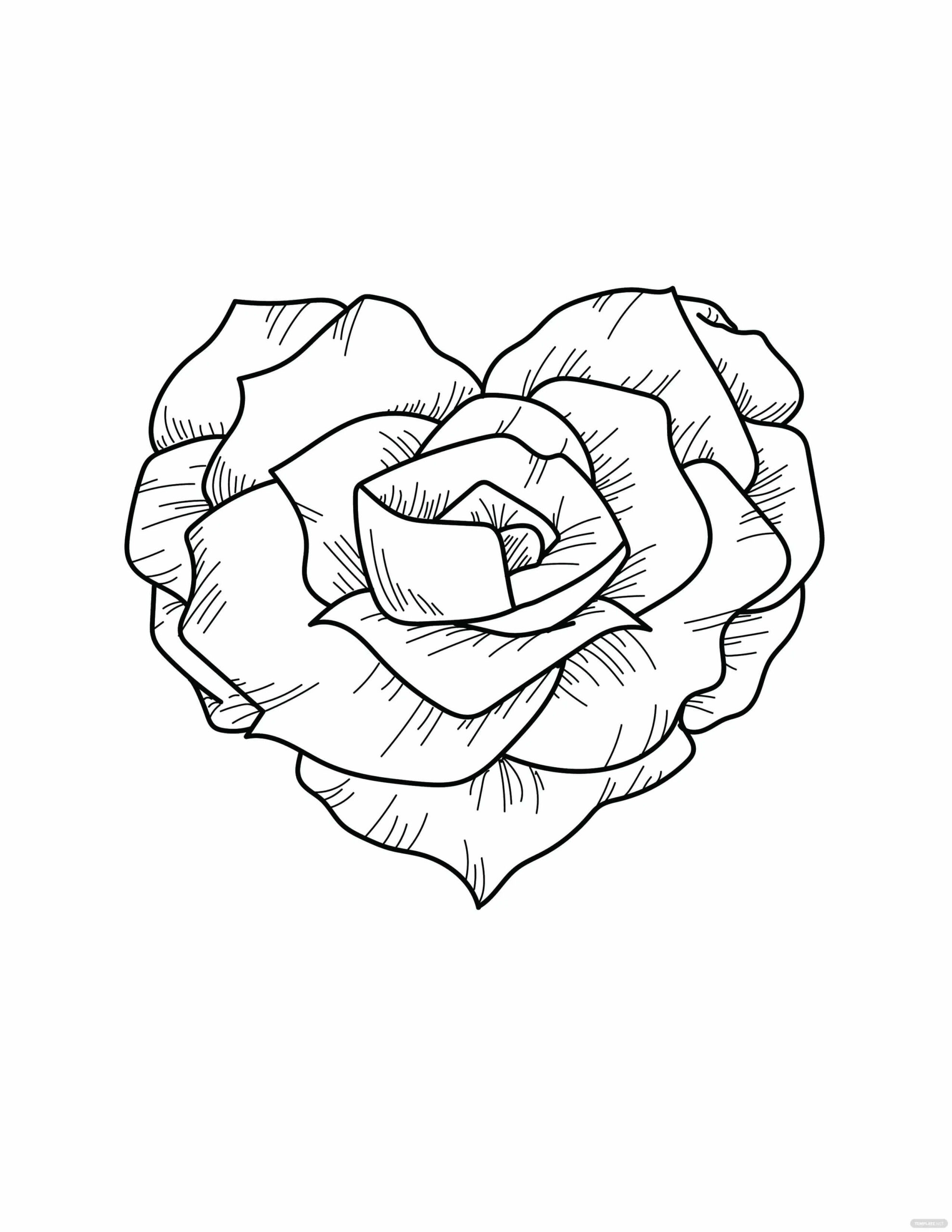 Hjerteformet Rose fargelegging