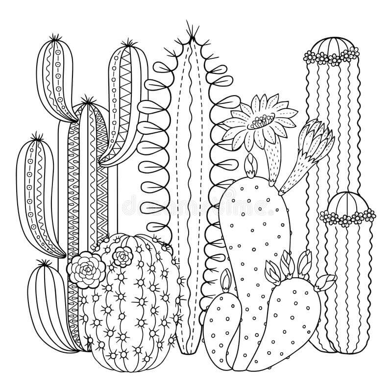 Kaktushage fargeleggingsside