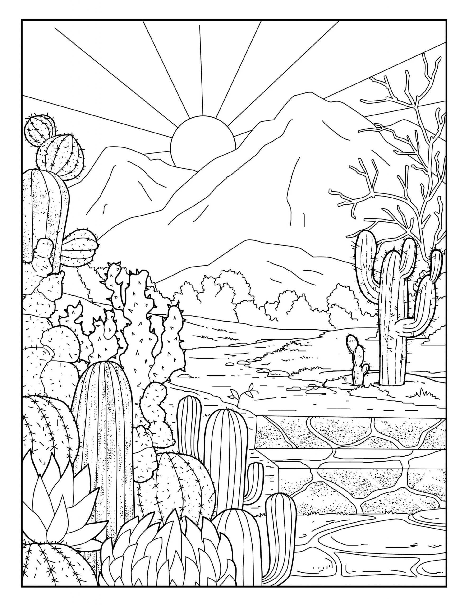 Kaktushage Og Sol fargeleggingsside
