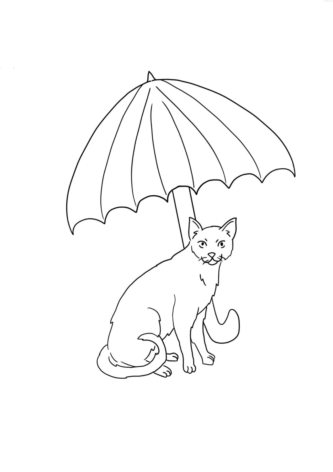 Katt Som Holder Paraply fargelegging