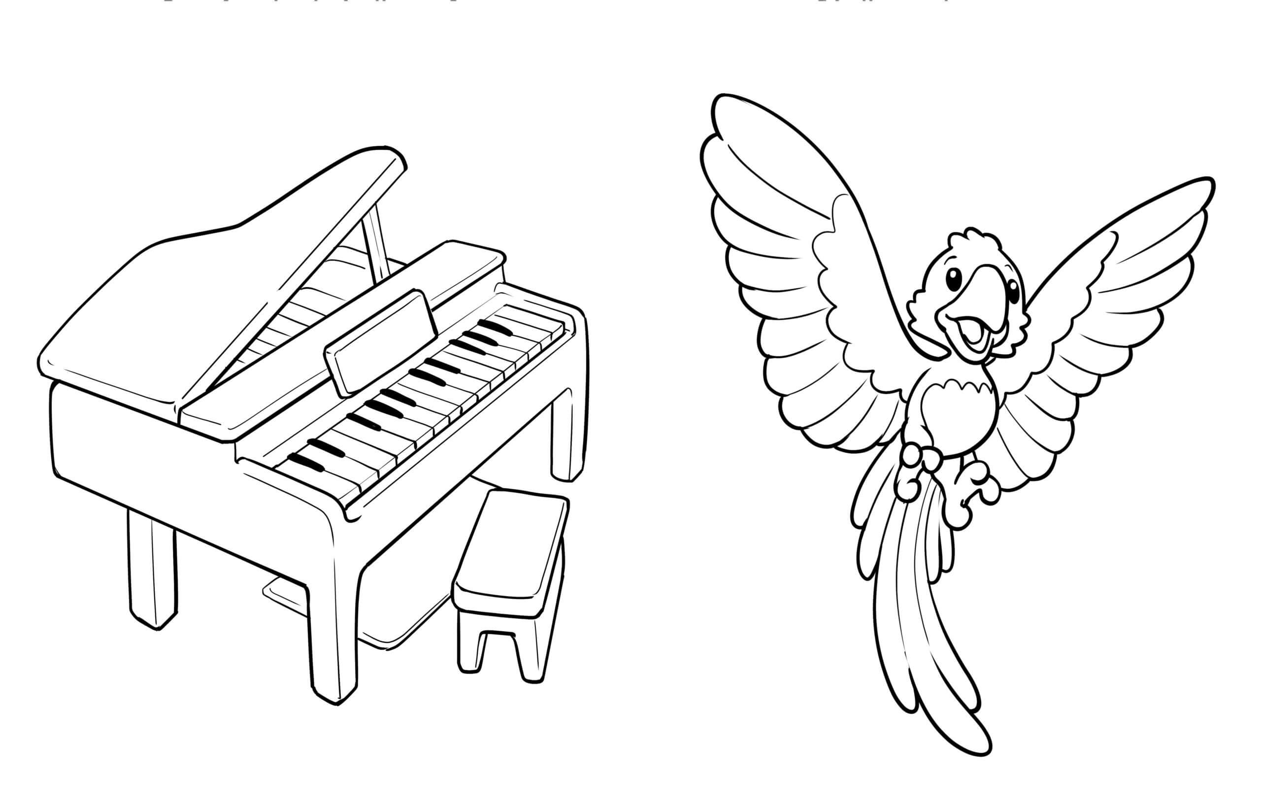 Piano Og Papegøye fargelegging