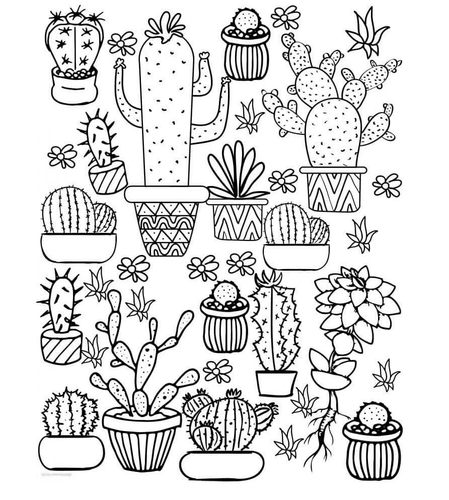 Potte Kaktus Hage fargeleggingsside