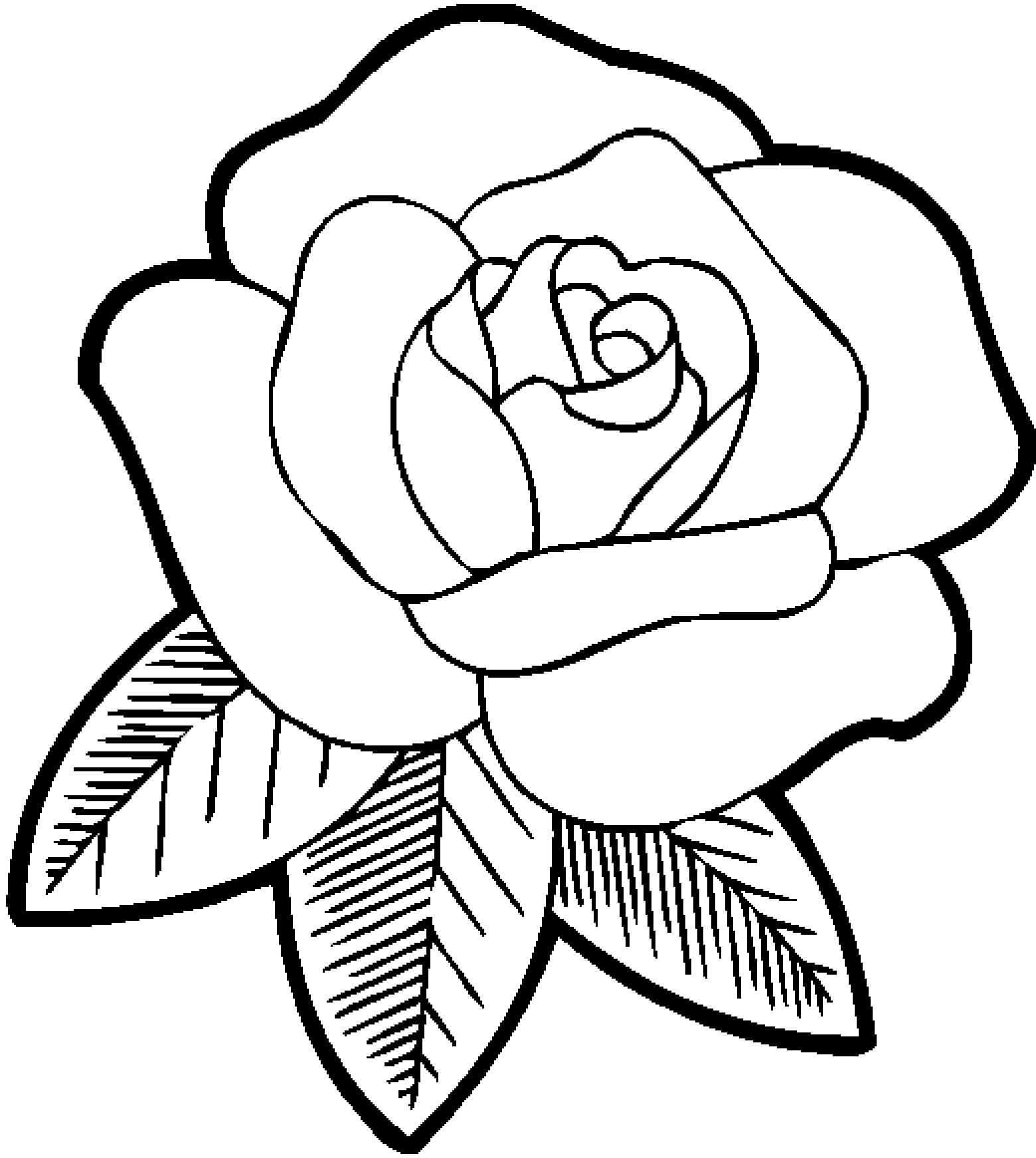 Rose Med Blader fargelegging