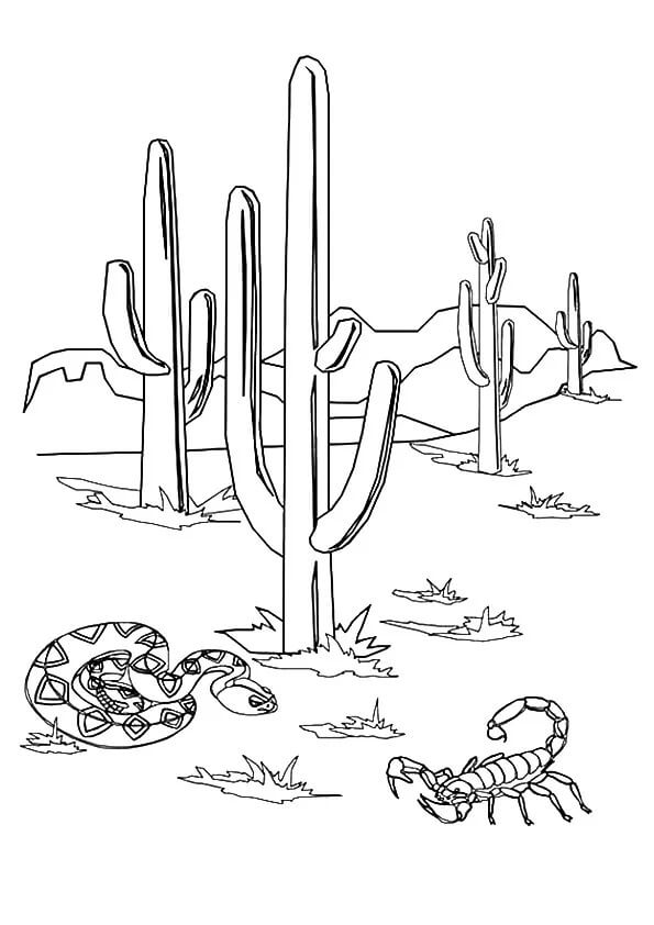 Slange Og Skorpion Med Kaktus fargelegging