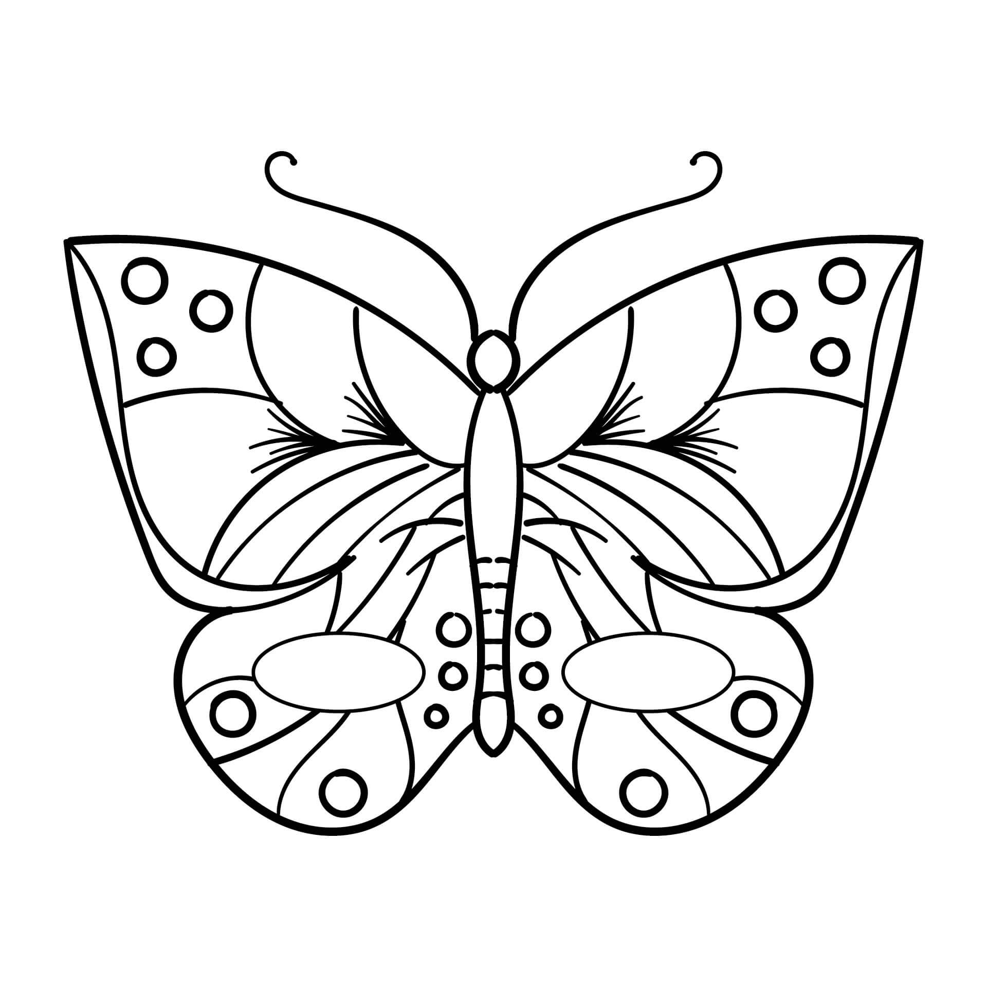 Butterfly Mask fargelegging