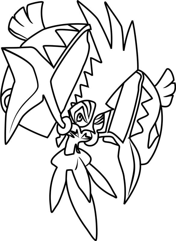 Tapu Koko-Kamp fargeleggingsside