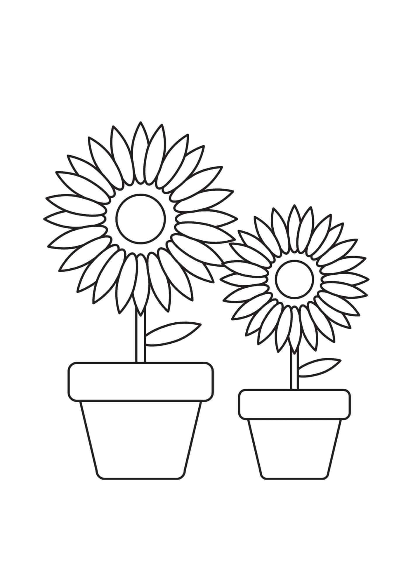 To solsikker av vaser fargeleggingsside