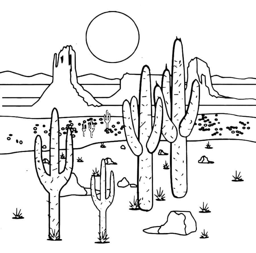 Tørt Område Med Kaktus fargelegging