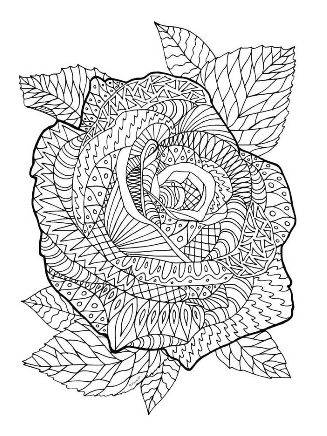 Zentangle Rose fargelegging
