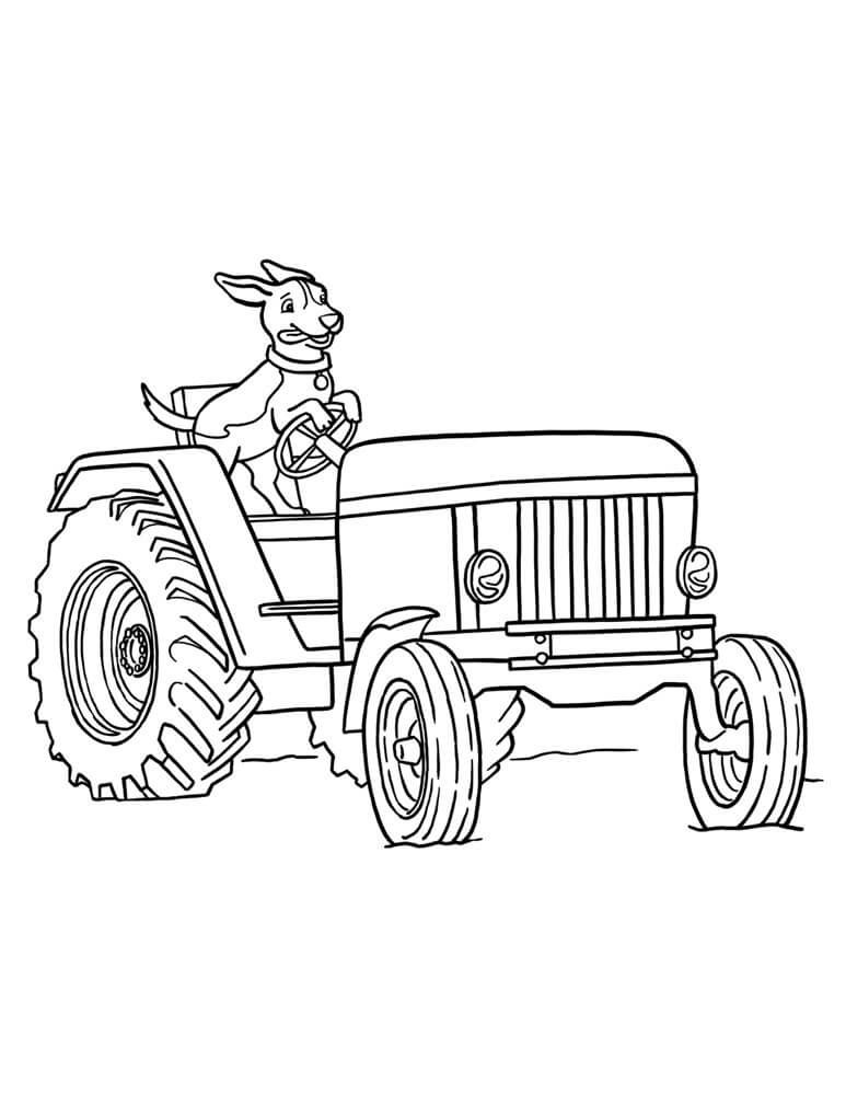 Hundekjørende Traktor fargeleggingsside