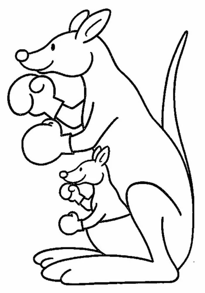Mor Kenguru Og Baby Kenguruboksing fargelegging