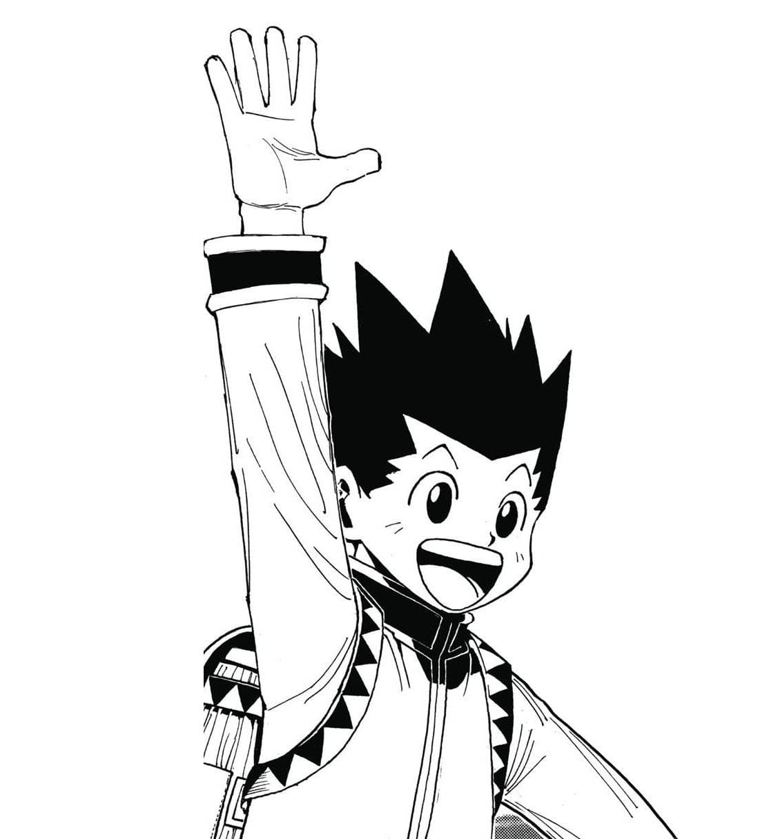 Glad Gon Freecss fargelegging