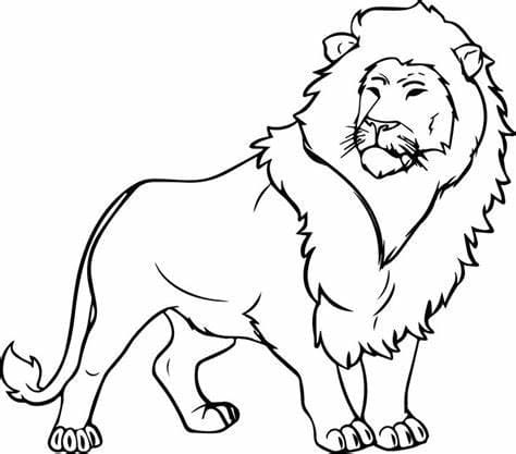 Good Lion fargeleggingsside