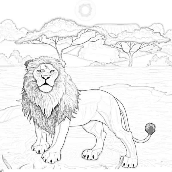 Håndtegnet Løve fargeleggingsside