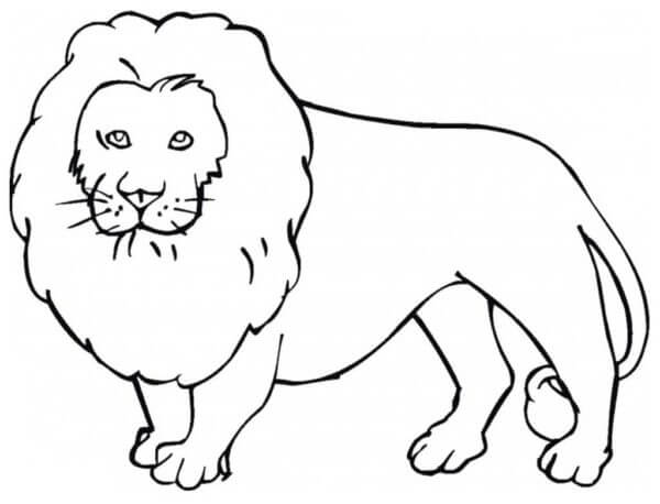 Lett Løve fargeleggingsside