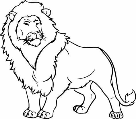Lion JPG fargeleggingsside