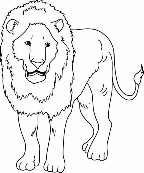 Lion Outline fargeleggingsside