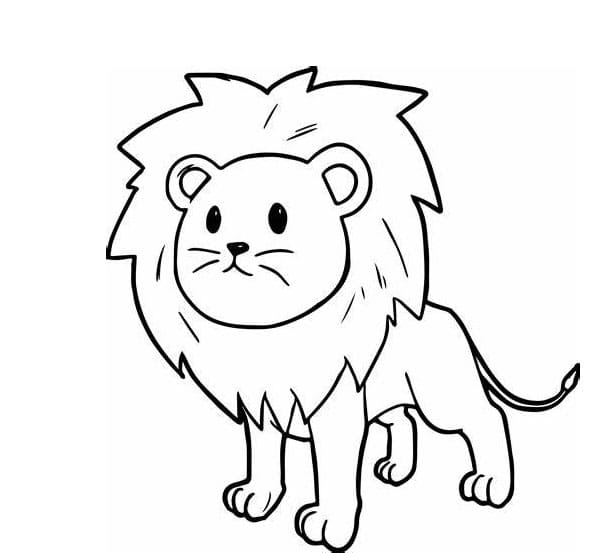 Lion for Kids fargeleggingsside
