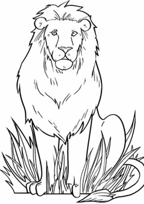 Løve Med Gress fargeleggingsside