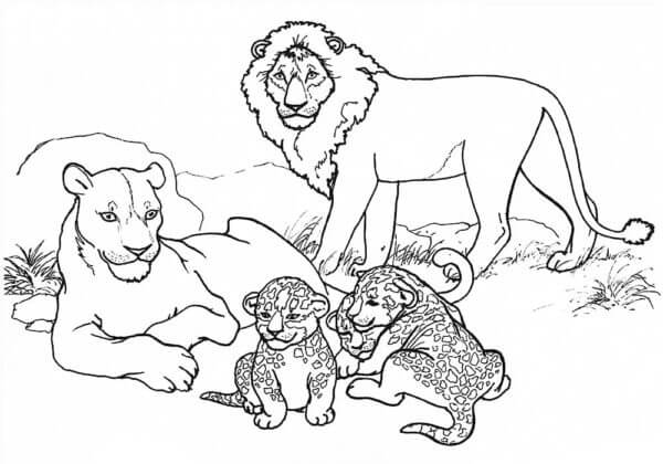 Løvefamilien Gleder Seg Over Livet fargelegging