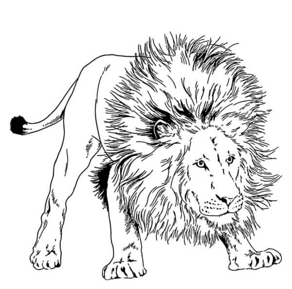Løveklar Angrep fargeleggingsside