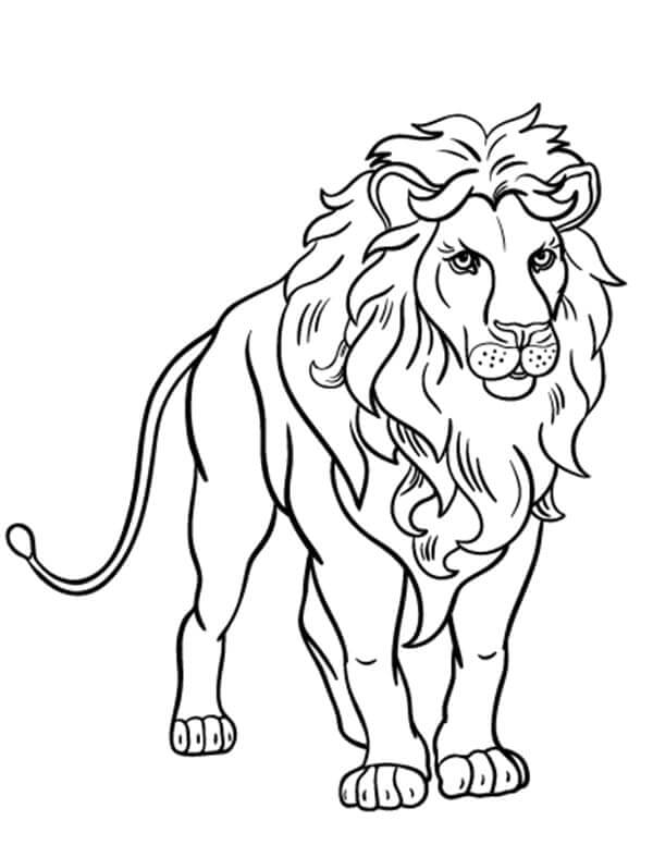 Muskuløs Løve Med En Luksuriøs Manke fargeleggingsside