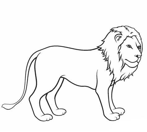 Printable Lion Image fargeleggingsside