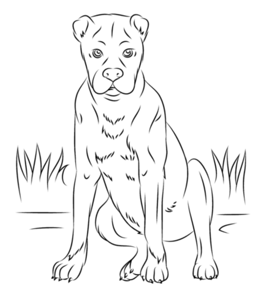 Boxer Hund fargeleggingsside