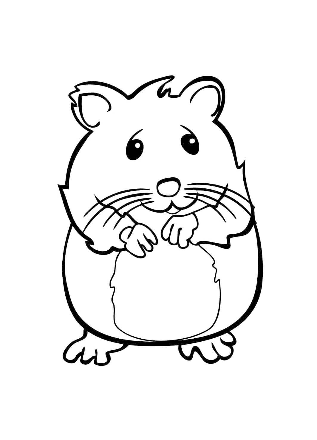 Hamstermus fargelegging