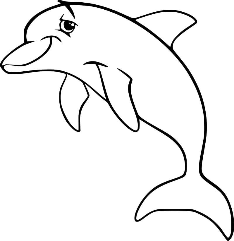 Kul Delfin fargelegging