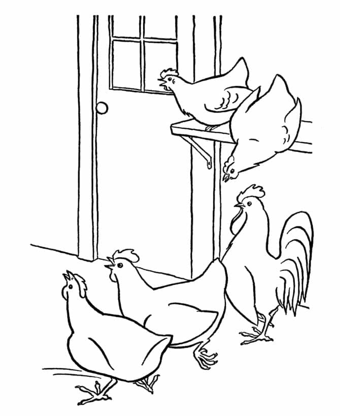 Kyllinger fargeleggingsside