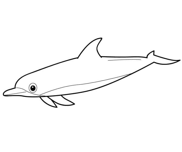 Normal Delfin fargelegging
