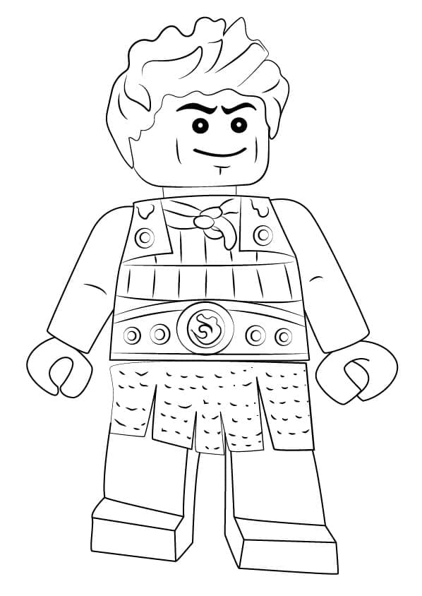 Ash Lego Ninjago fargelegging