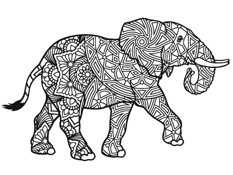 Elefant Er For Voksen fargelegging