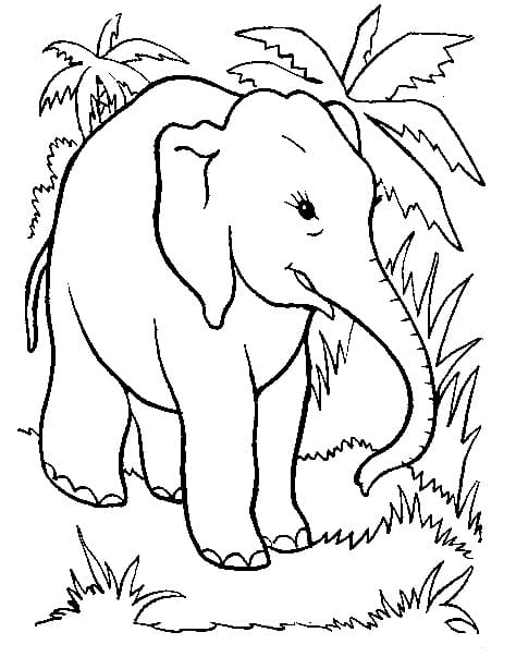 Elefant I Skogen fargeleggingsside