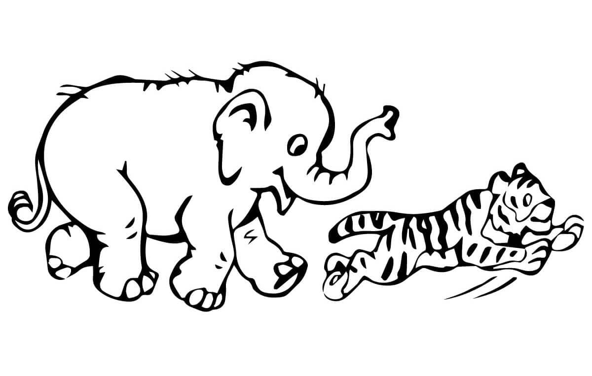Elefant Og Tiger fargeleggingsside