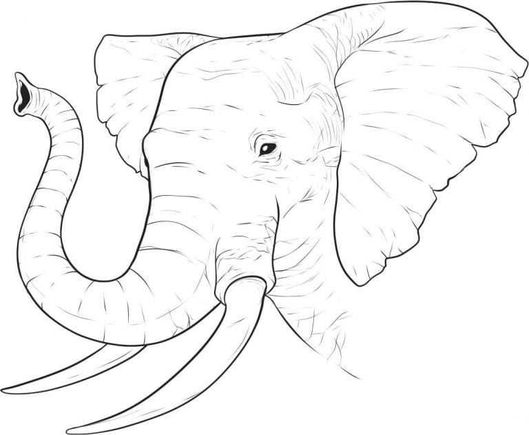 Elefanthode fargelegging