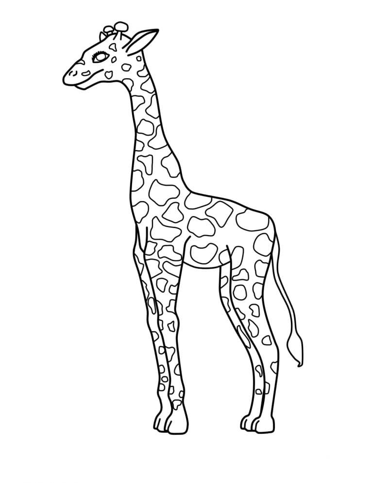 Giraffe Stående fargelegging
