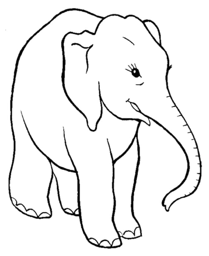 God Elefant fargelegging