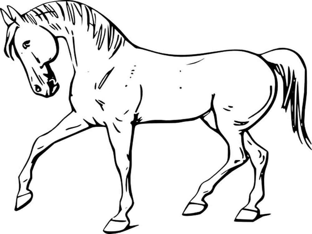 Håndtegnet Hest fargeleggingsside