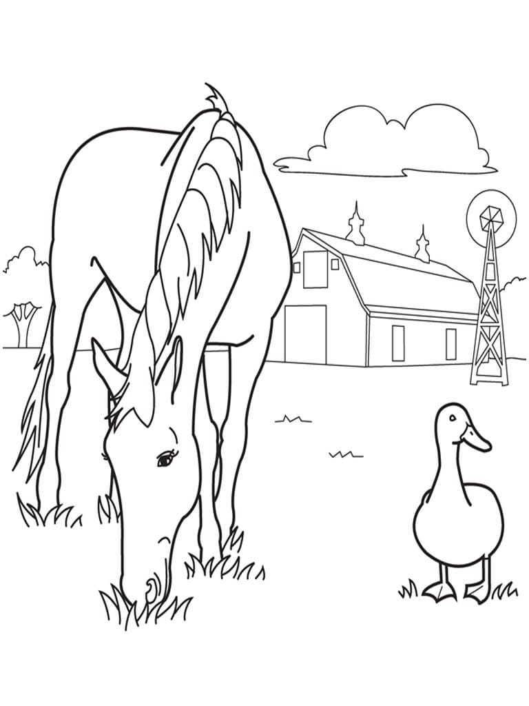 Hest Og And fargeleggingsside