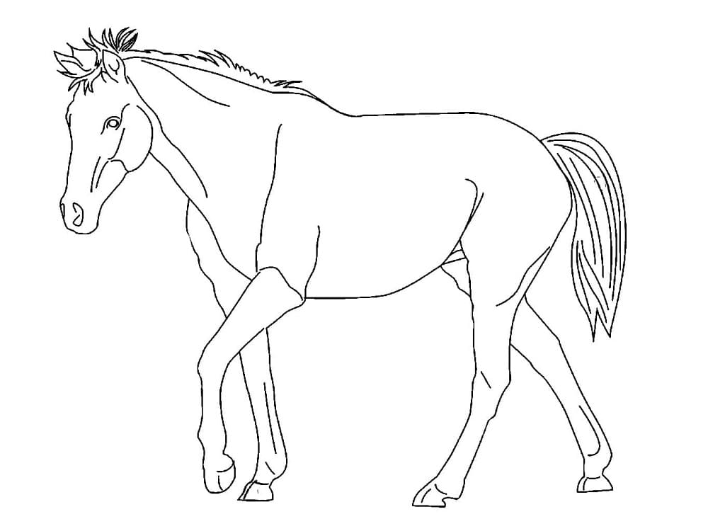 Heste Tegning fargeleggingsside
