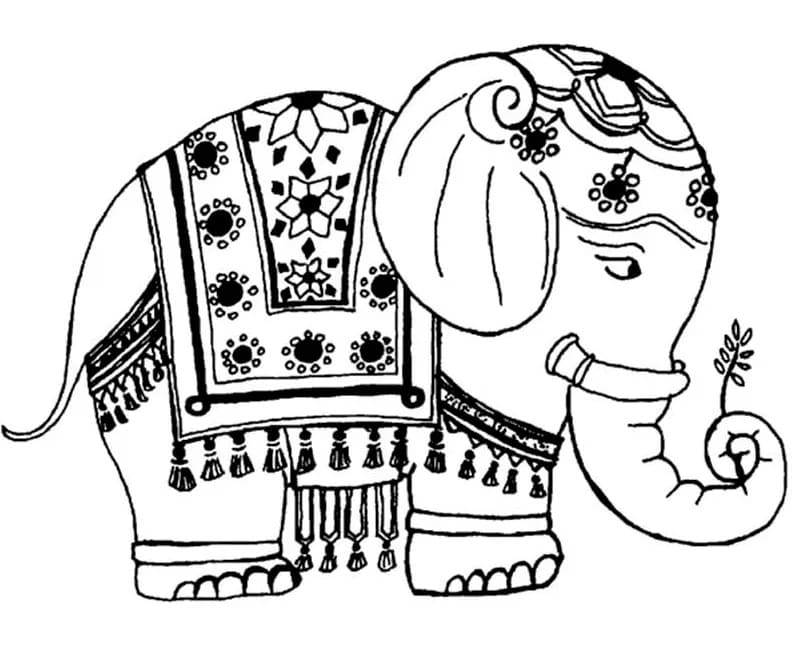 Indisk Elefant fargelegging