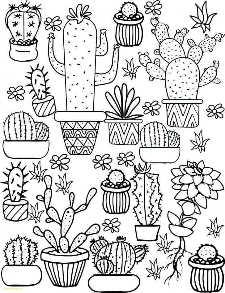Kaktus Estetiske Tegninger fargelegging