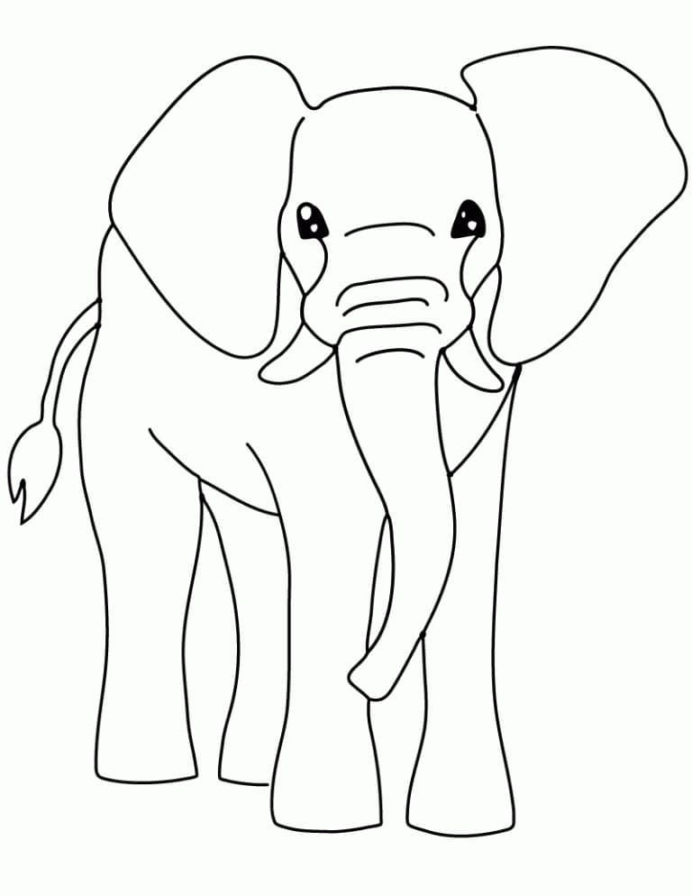 Kjempefin Elefant fargelegging