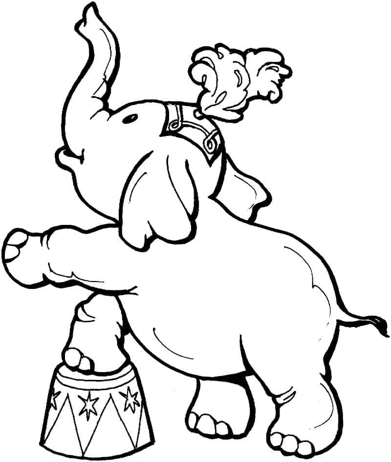 Sirkuselefant fargelegging